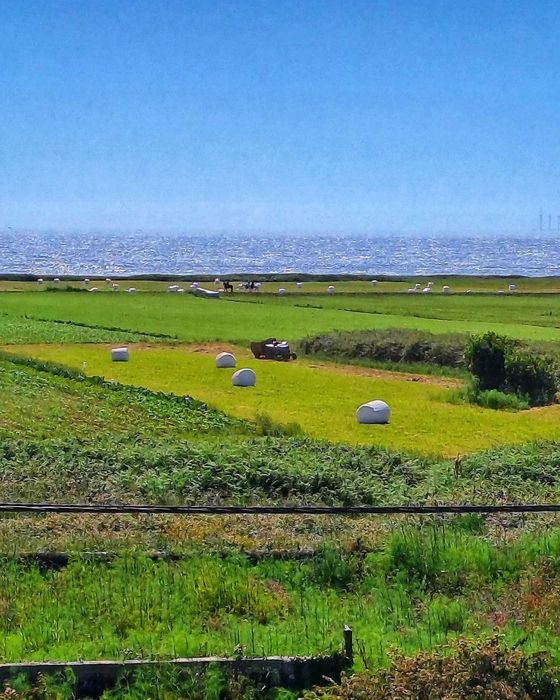 Apartamento T3+1 com vista mar