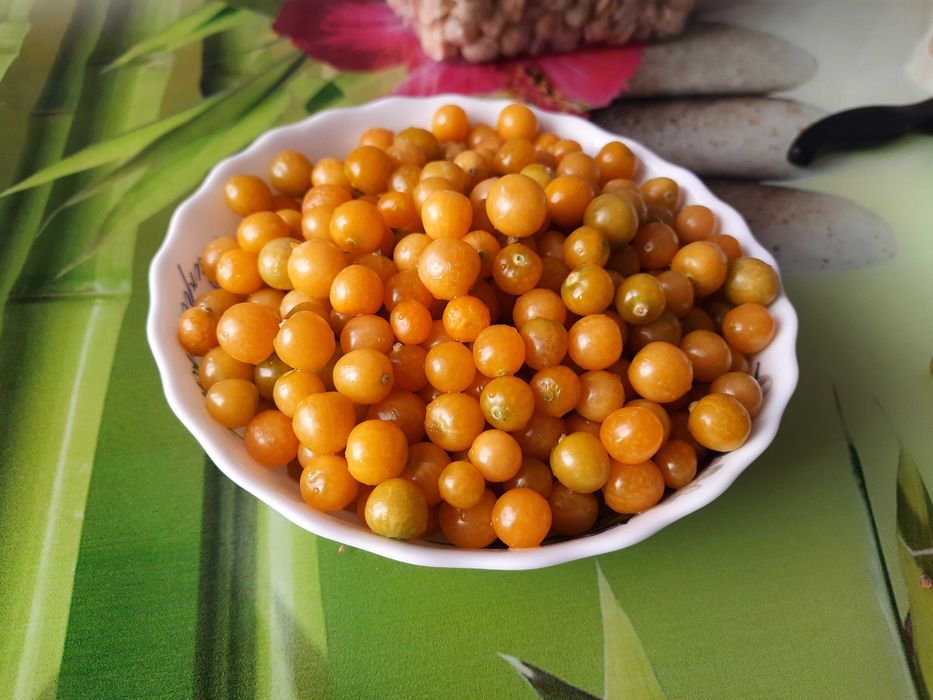 Насіння суничного та ягідного фізалісу