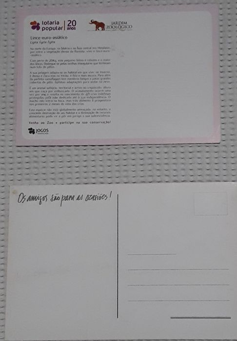 Postais diversos com cães e outros, para colecção