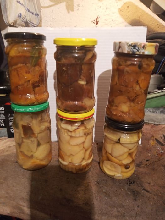 grzybki marynowane w zalewie octowej