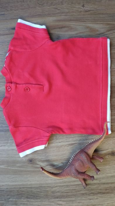 t-shirt czerwony Tiny ted