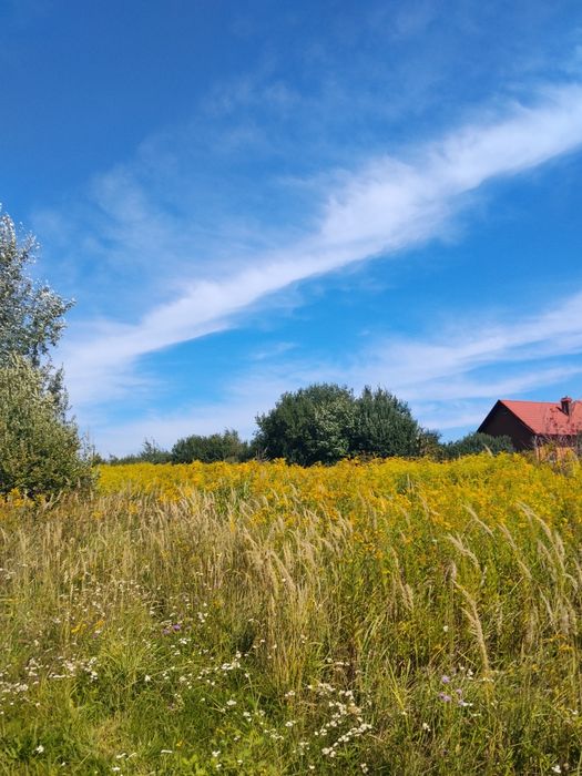Продаж земельної ділянки в Мостиськах