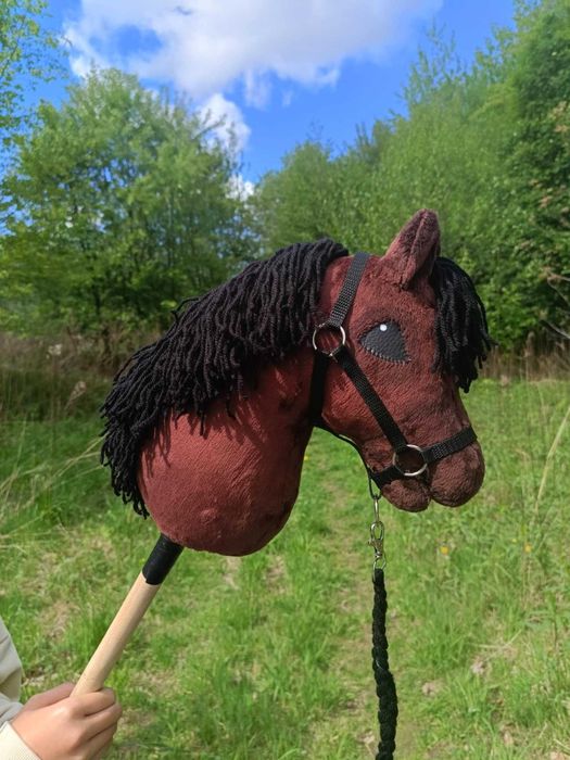 Hobby horse Santiago de Compostela