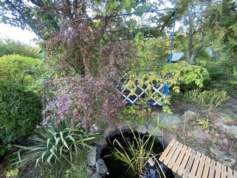 Дачний невеликий будинок