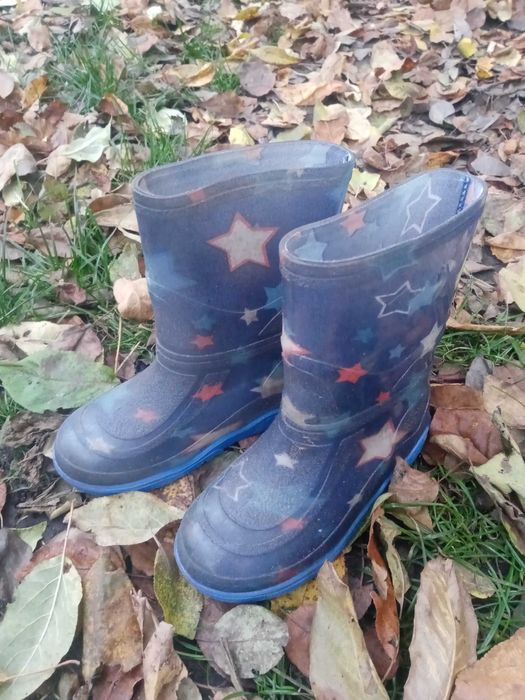 Резиновые сапоги на мальчика.