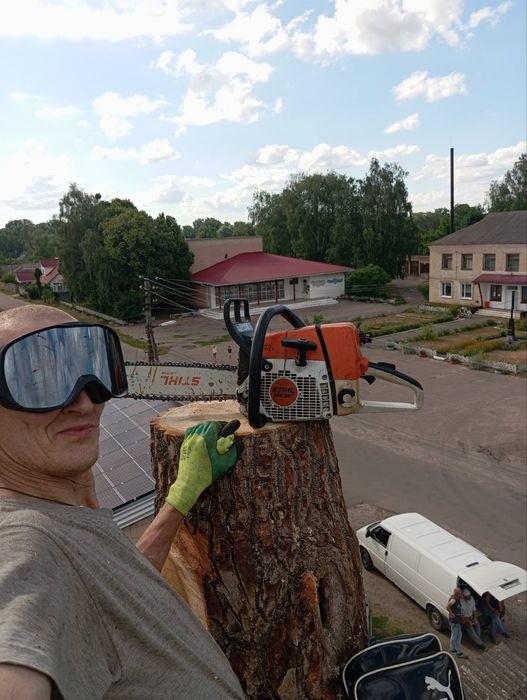 Удаление аварийных деревьев  любой сложности