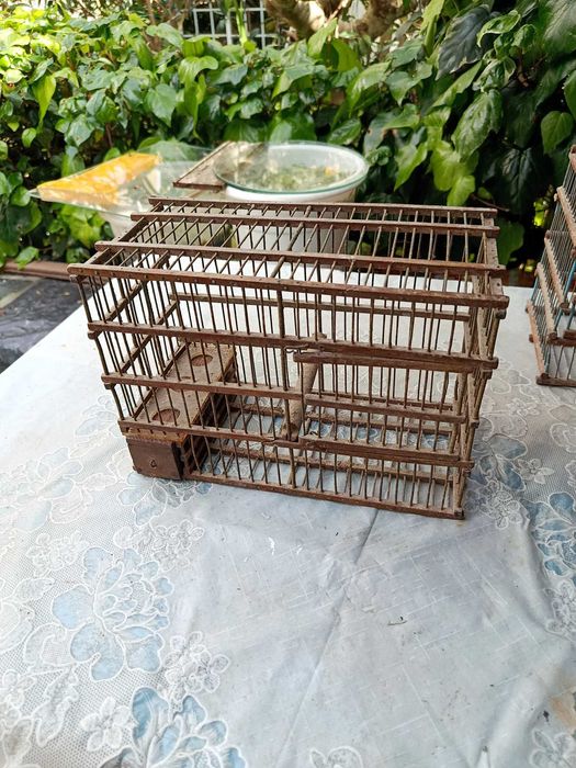 Gaiola Antiga Pintassilgos