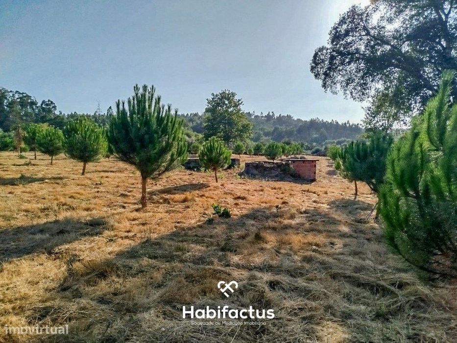 Land for Sale with Approximately 1 Hectare – Tondela