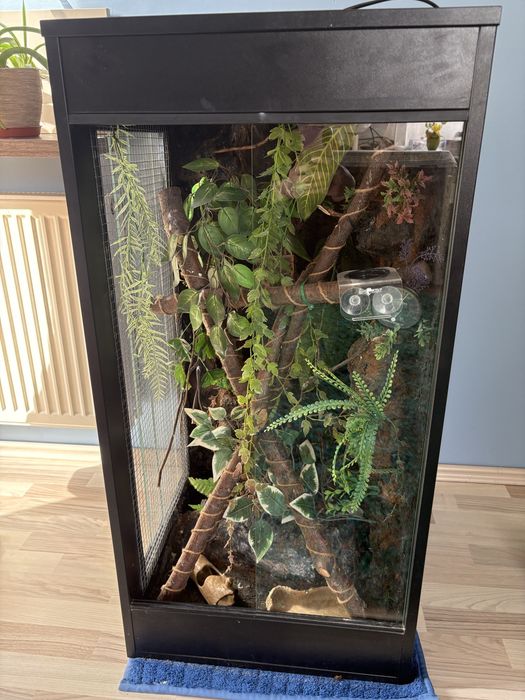 Terarium 50x50x100