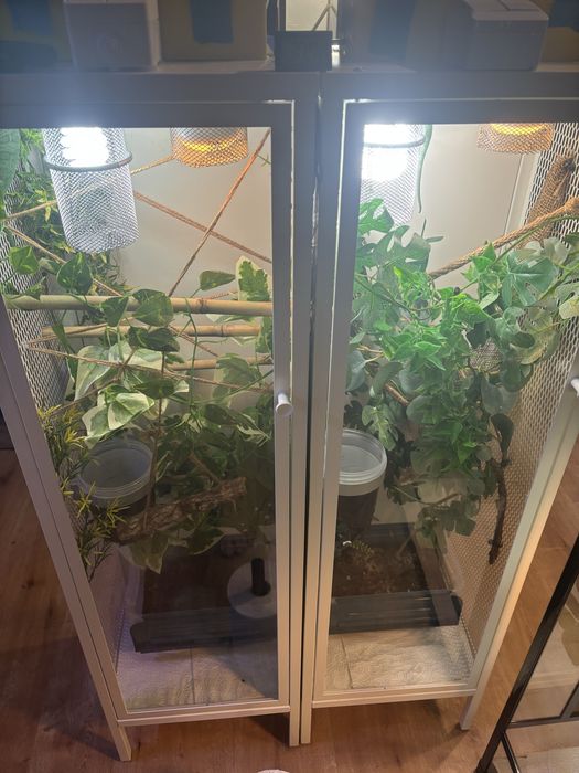 Terrarium dla kameleona, gekona, gadów
