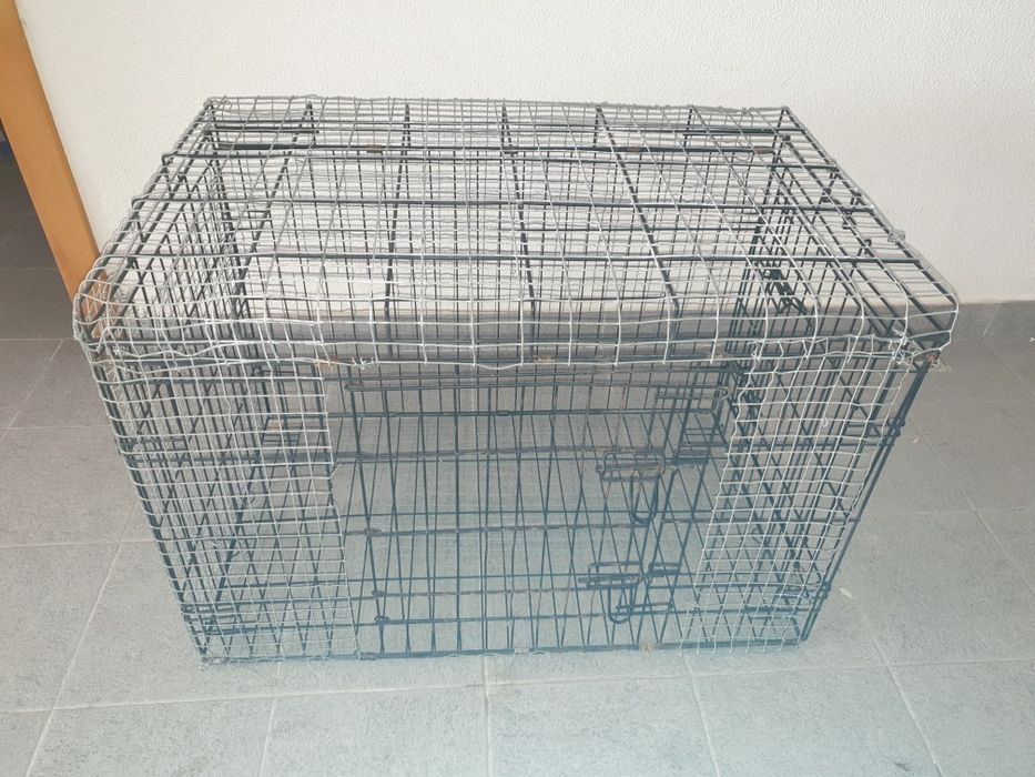 Transportadora de  animais