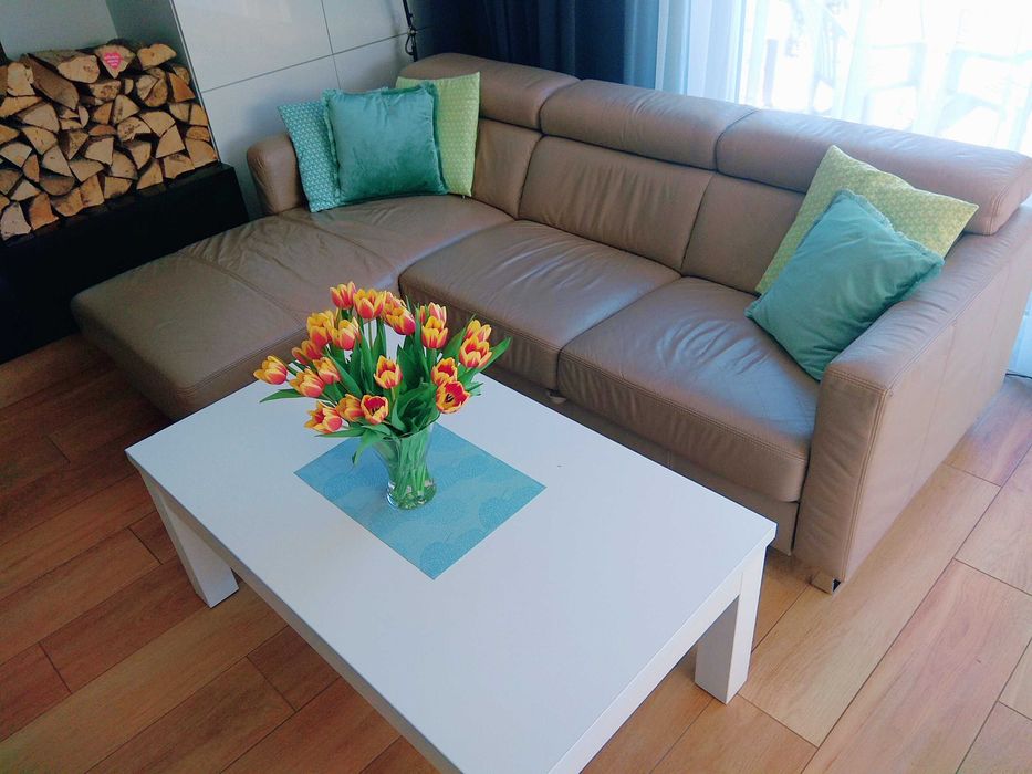 Narożnik skórzany Etap Sofa