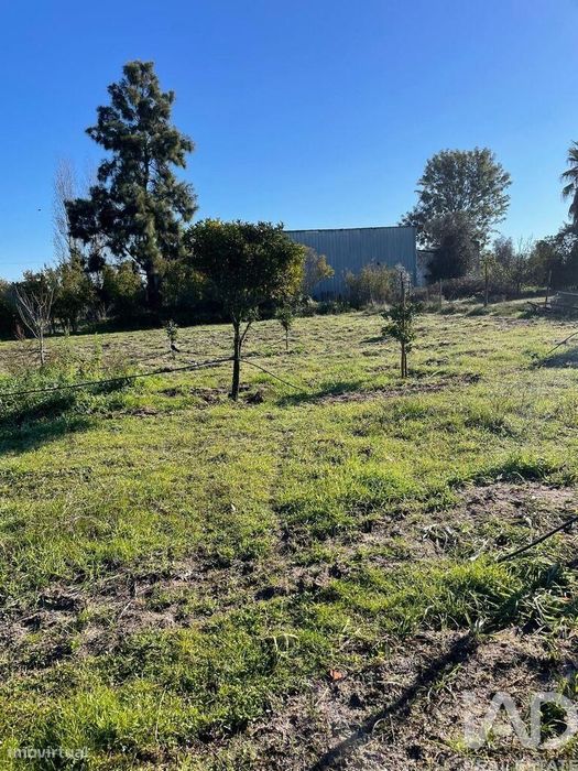Terreno Agrícola em Poceirão e Marateca