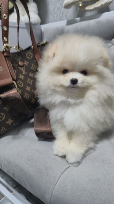 Гарненький хлопчік