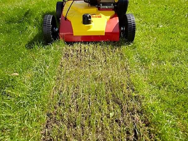 Wertykulator aerator spalinowy WOLF-Garten VA 389 B