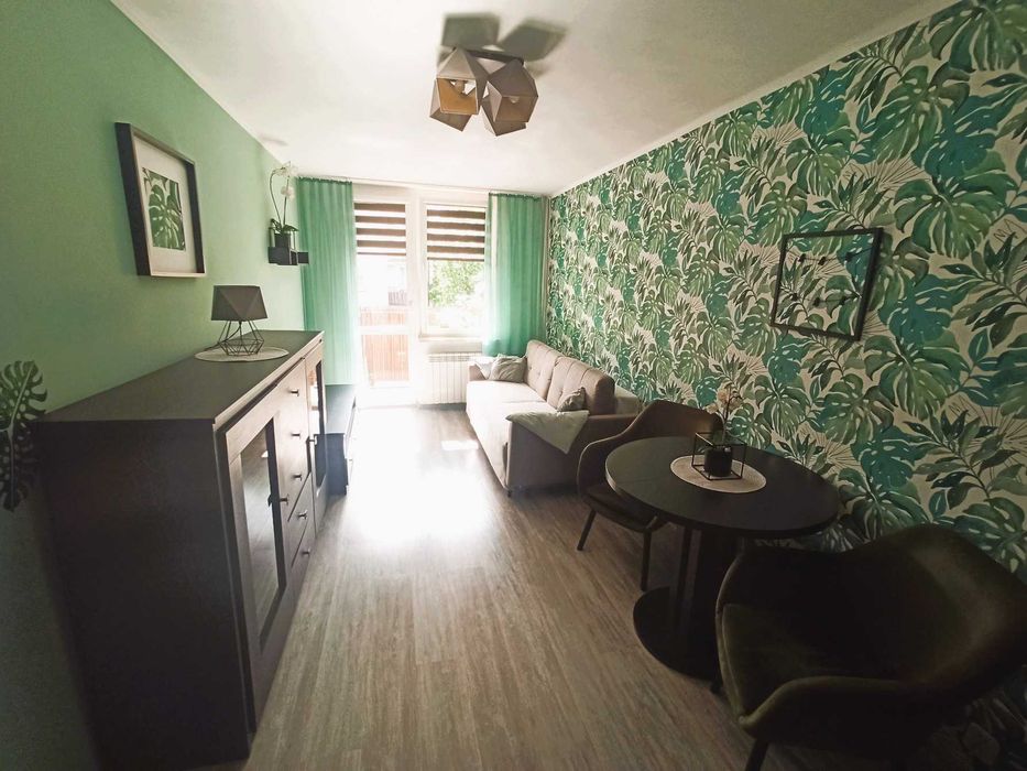 M3 - 44 m² | 2 niezależne pokoje | balkon z widokiem na zieleń | c.o. miejskie | Zabrze Centrum Południe - blisko DTŚ, A4, A1 - Widok 2