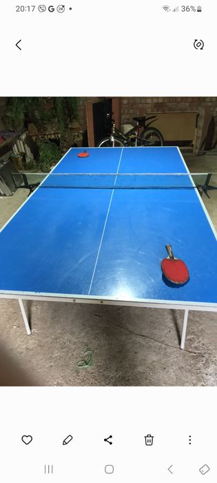 Здається будинок в Карпатах