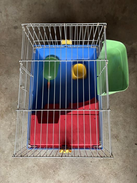 Gaiola Porquinho da India