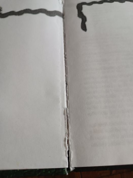 «Щоденник страченої »