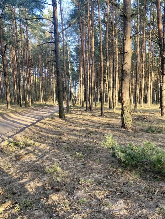 Działka – Zamość, ul. Piękna