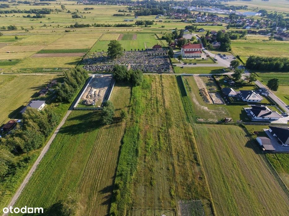 Działka 31 arów + Warunki Zabudowy - Trzeboś - Więcej