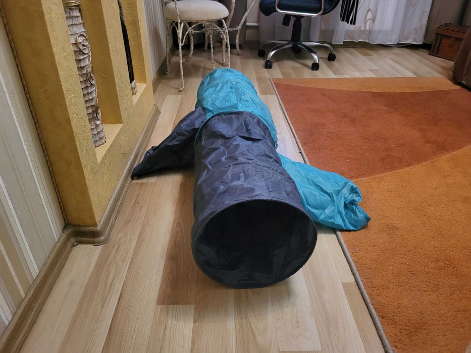 Іграшка для тварин