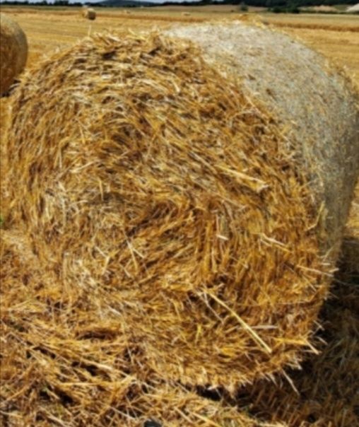 Słoma okrągłe bale