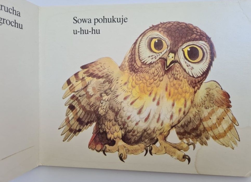 Wśród ptaków - Książeczka