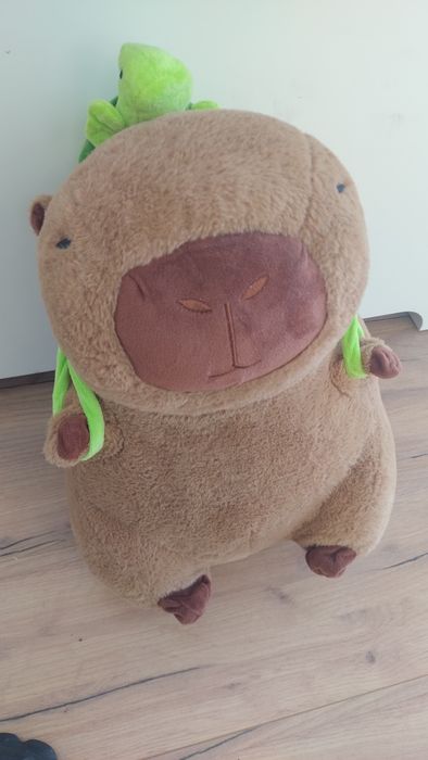 Duża Kapibara maskotka z kocem w środku jak nowe ok 43 cm