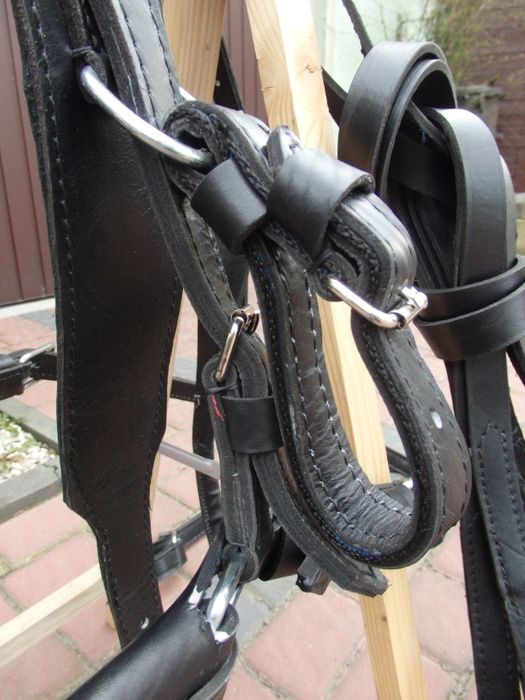 Uprząż szory na kuca komplet