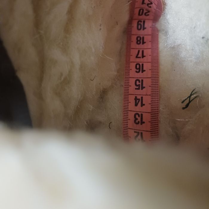 Черевики зима 19см