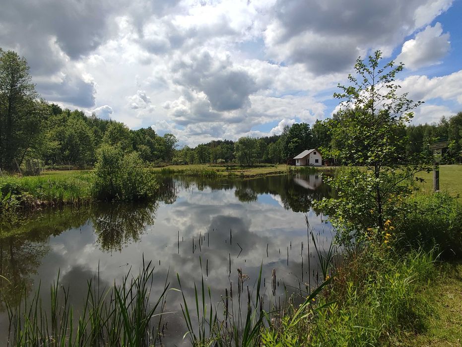 Domek do wynajęcia letniskowy/całoroczny Zacisze na Zapolu
