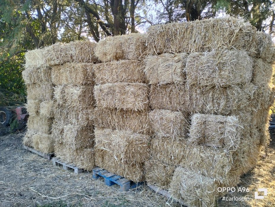 Fardos pequenos de feno