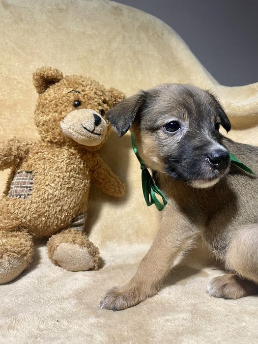 Чудо хлопчик чекає на тебе