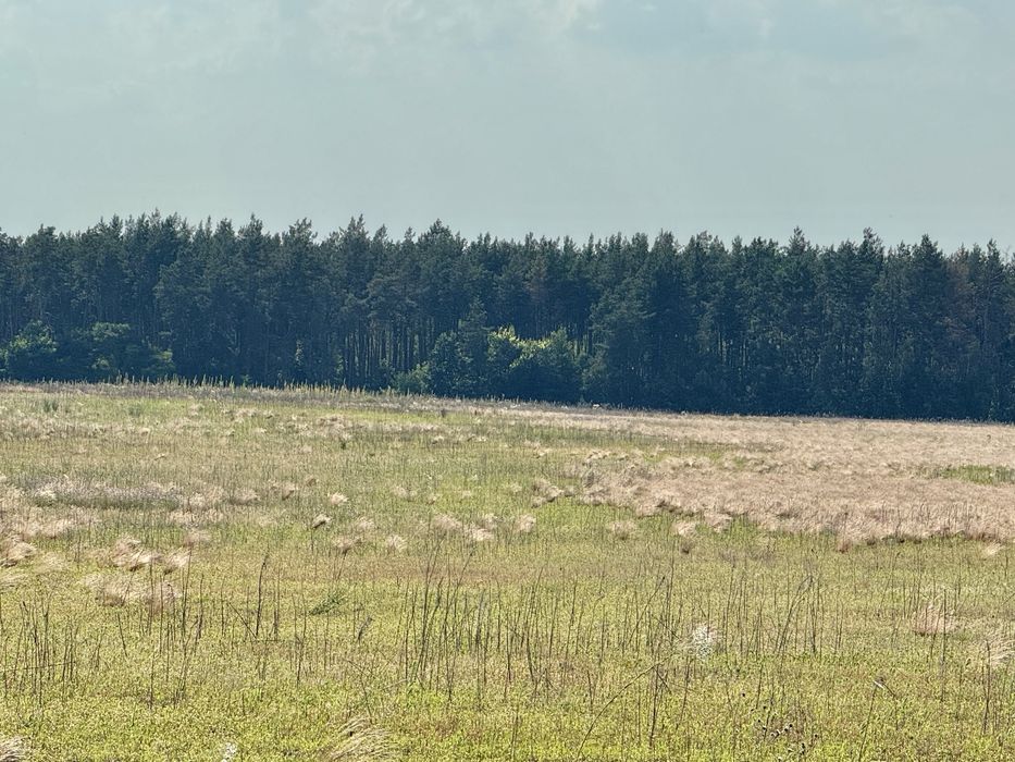 Земельна ділянка 27 га! Андріївка.