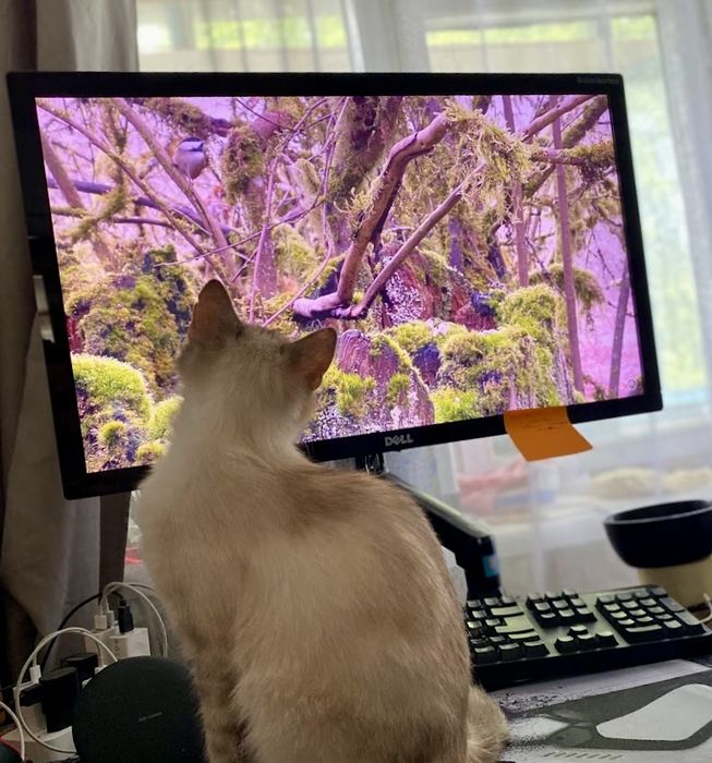 Монітор Dell S270Lb -27”