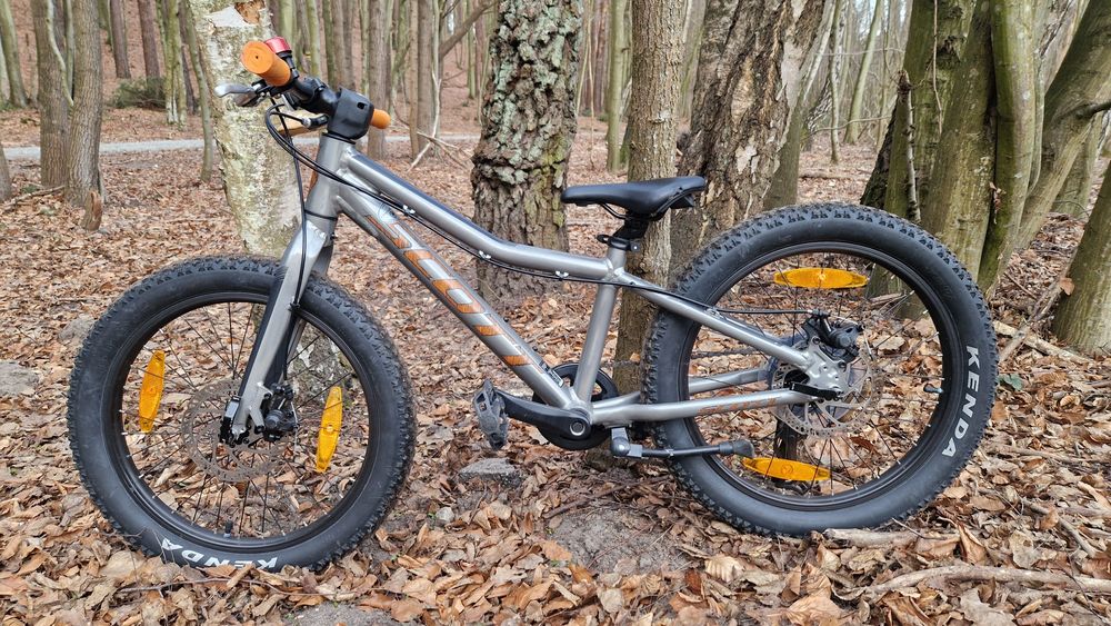 Scott roxter 20 cali jak scale