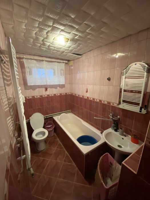 Продам будинок у ппредмісті Берегова