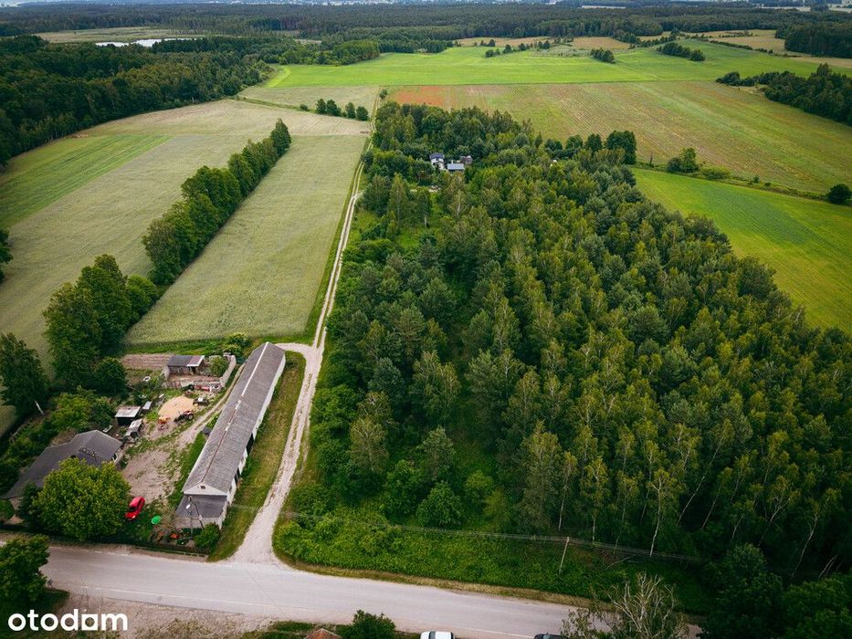 Działki budowlane w Kwilnie – spokój i natura - Widok 5