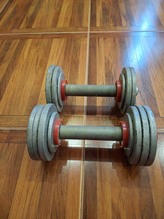 Гантели  наборные  металлические