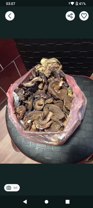 Сушені гриби 600 грн 1 кг