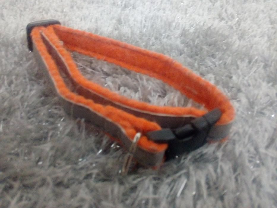 Coleiras para gatos64729806053890121