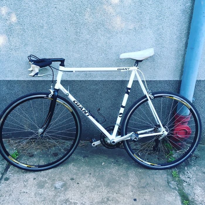 Rower kolarzówka szosa giant