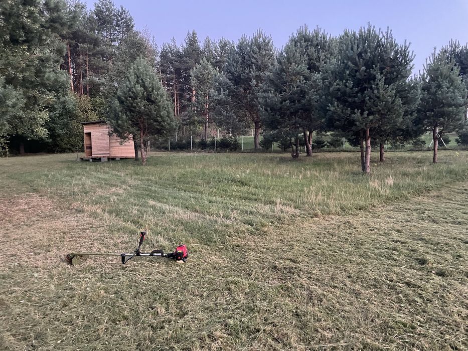 Koszenie działek