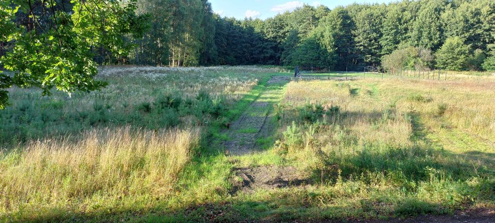 Sprzedam działki rekreacyjne - Borowy Młyn - Pszczew - woj.Lubuskie – pohled 3