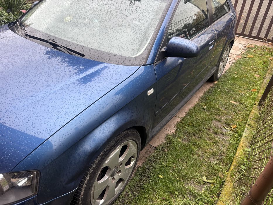 Audi a3 8p 2003 rok