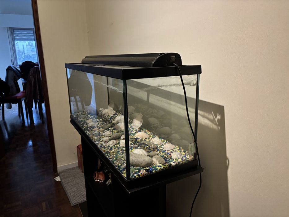 Aquário grande e completo em otimo estado