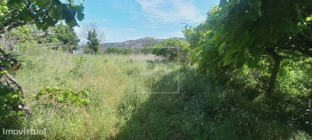 Terreno Rústico  Venda em Paredes de Viadores e Manhuncelos,Marco de C — Paredes De Viadores E Manhuncelos, Porto