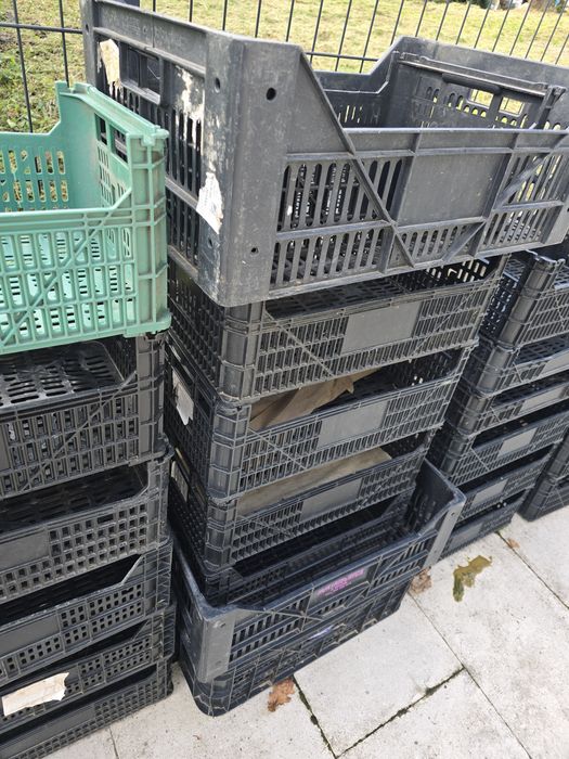 Caixas plástico para fruta legumes