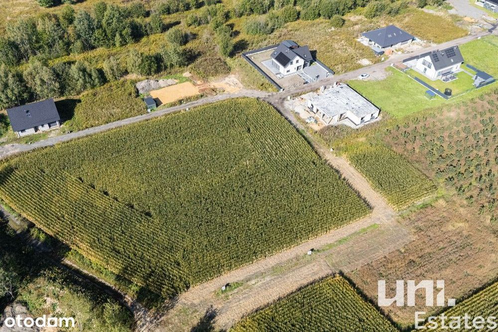 budowlana | widokowa | 7,8 ar | Spacerowa - Widok 4